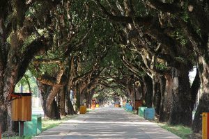 Desafios e Vantagens de Morar em uma Cidade Pequena