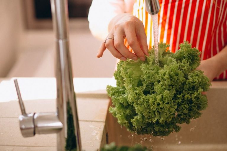 Alimentos mal higienizados podem causar doenças graves